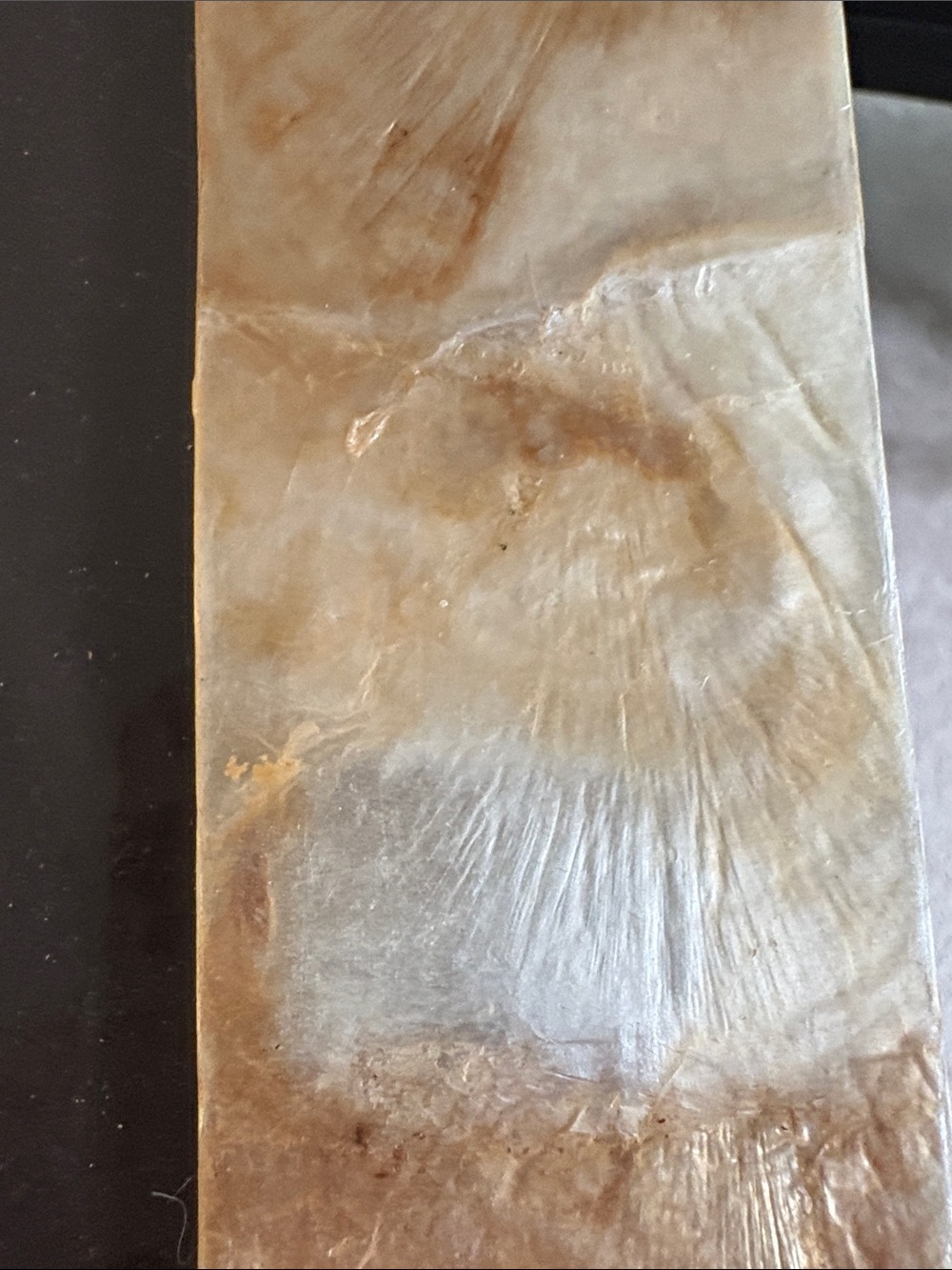 Neutral Shell-Effect Picture Frame - Natural Beige - Picture 4 of 4